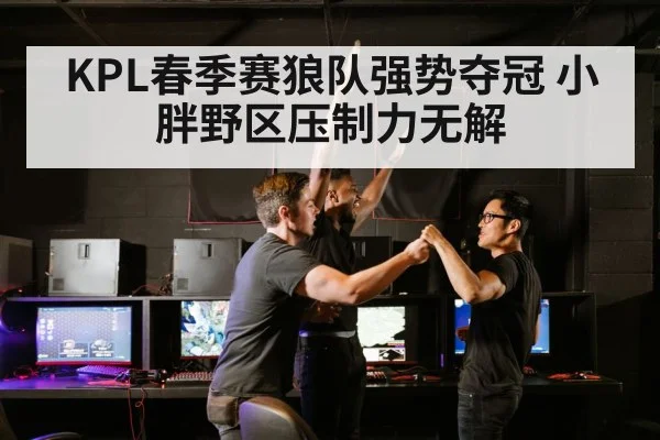 KPL春季赛狼队强势夺冠 小胖野区压制力无解